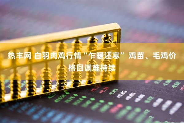 热丰网 白羽肉鸡行情“乍暖还寒” 鸡苗、毛鸡价格回调难持续