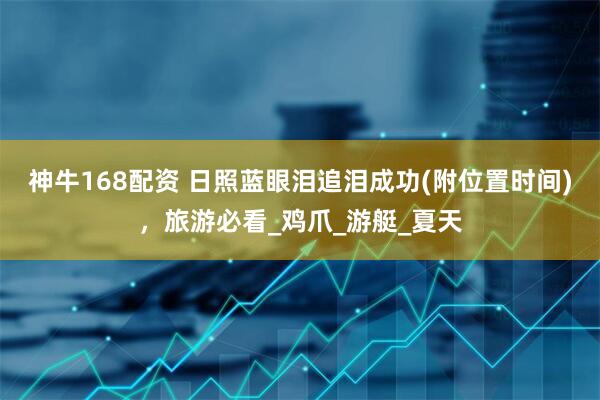 神牛168配资 日照蓝眼泪追泪成功(附位置时间)，旅游必看_鸡爪_游艇_夏天