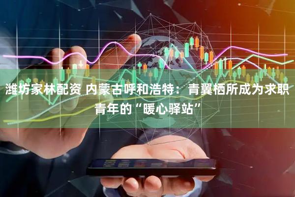 潍坊家林配资 内蒙古呼和浩特：青翼栖所成为求职青年的“暖心驿站”