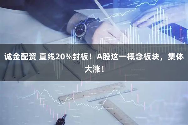 诚金配资 直线20%封板！A股这一概念板块，集体大涨！